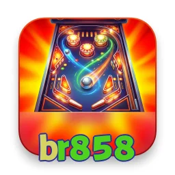 br858